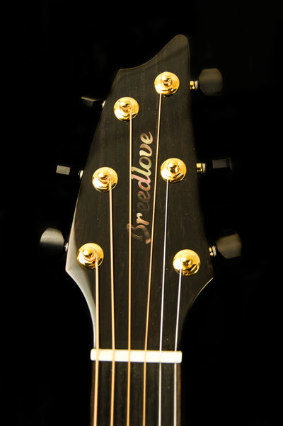 Breedlove Custom Built Concert CE Sunken Cedar/Ziricote Acoustic Electric Guitar