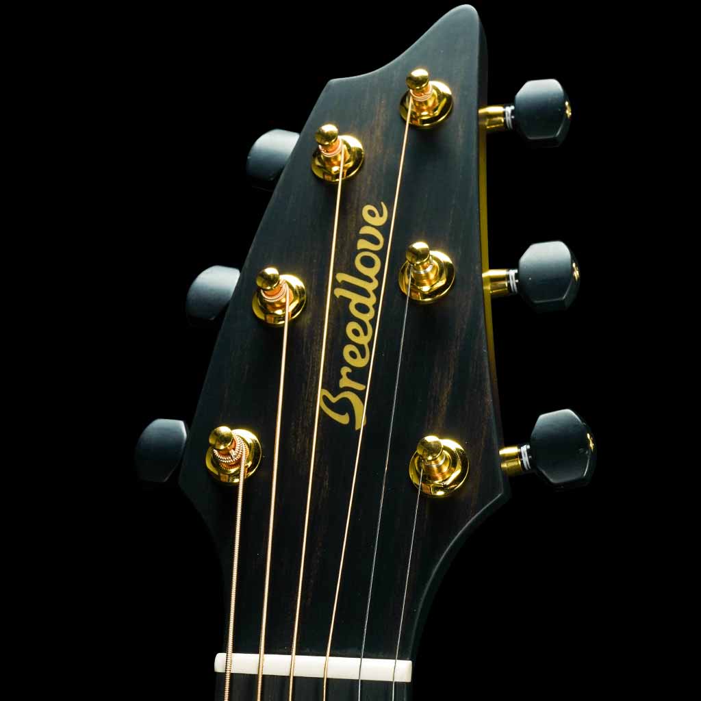 Breedlove Oregon Concert Earthsong Limited Edition Acoustic Guitar