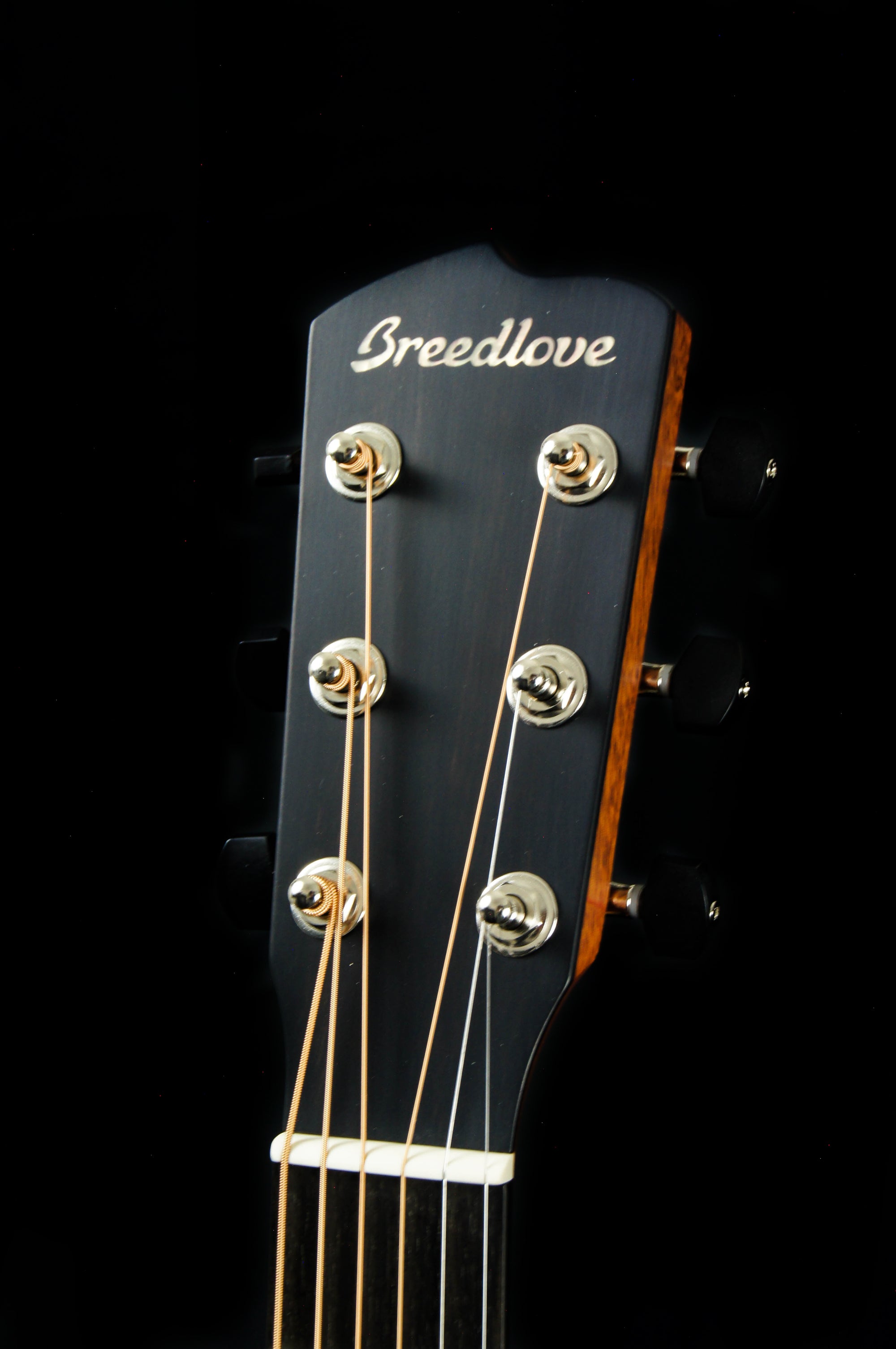 Breedlove Frontier Concertina All Mahogany Acoustic Electric Guitar