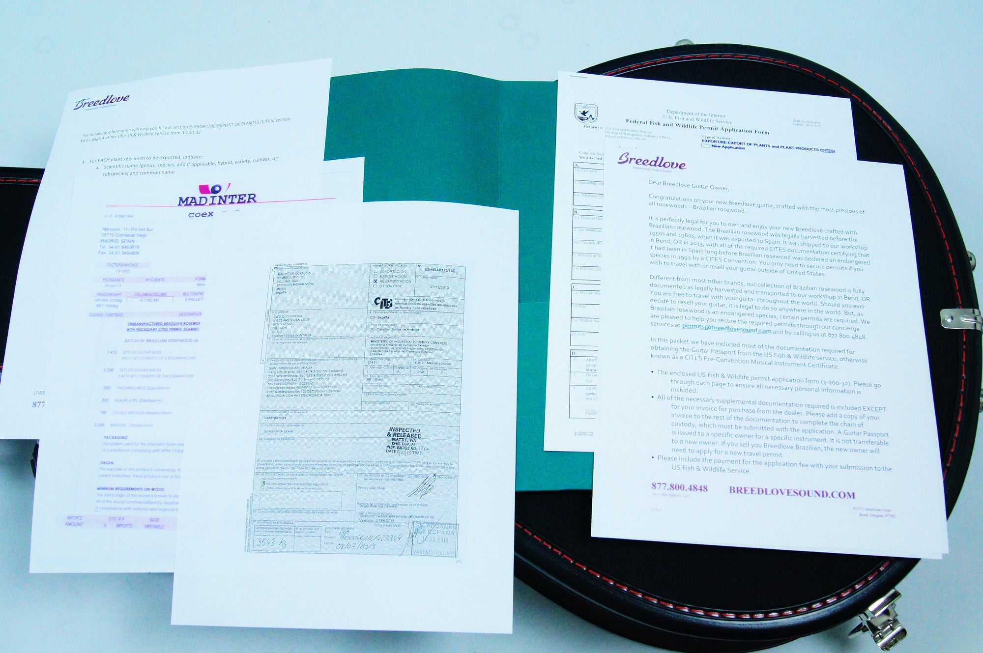 Breedlove Journey Concert Fingerstylist Acoustic Electric Guitar Black Cherry