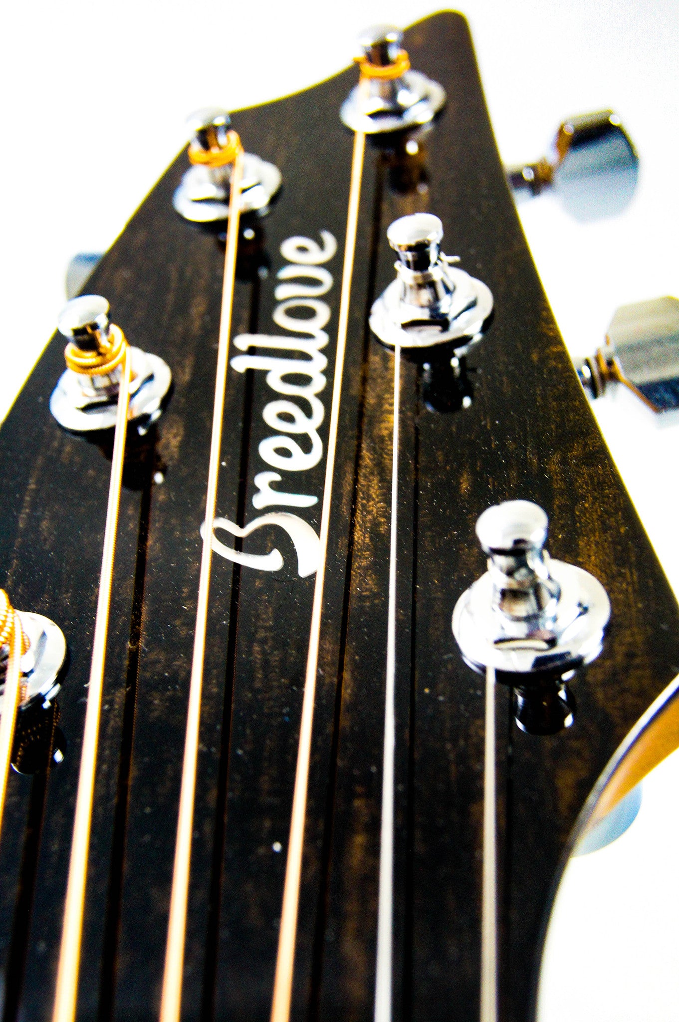 Breedlove Journey Concert 'Rush' Limited Edition Acoustic Guitar