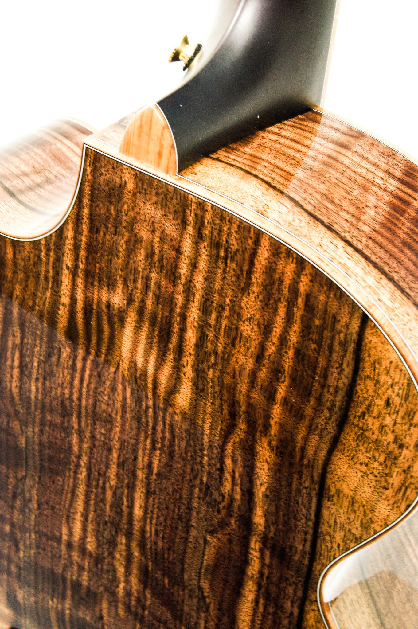 Breedlove Masterclass Auditorium Acoustic Electric Guitar