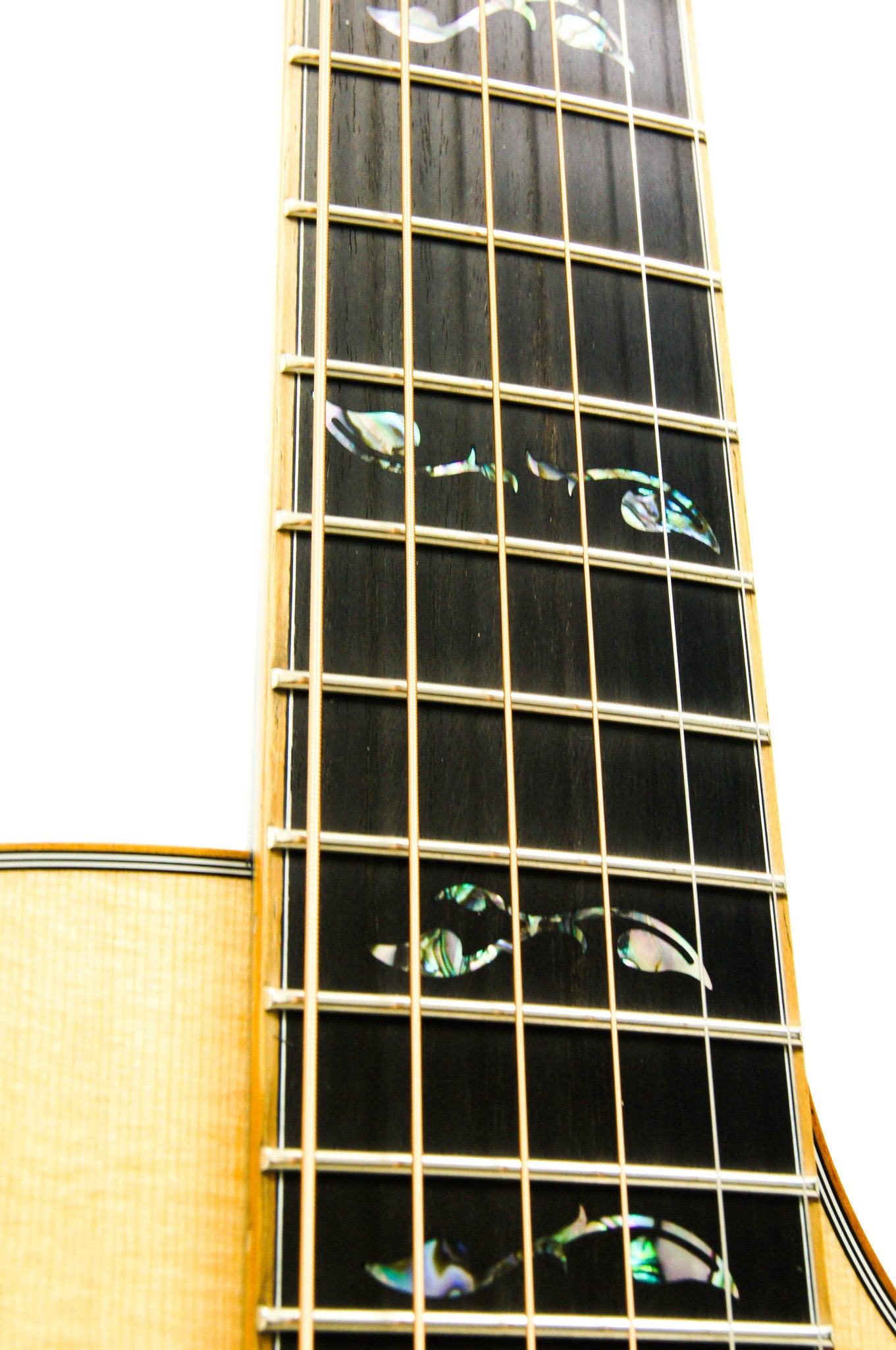 Breedlove Masterclass Auditorium Acoustic Electric Guitar