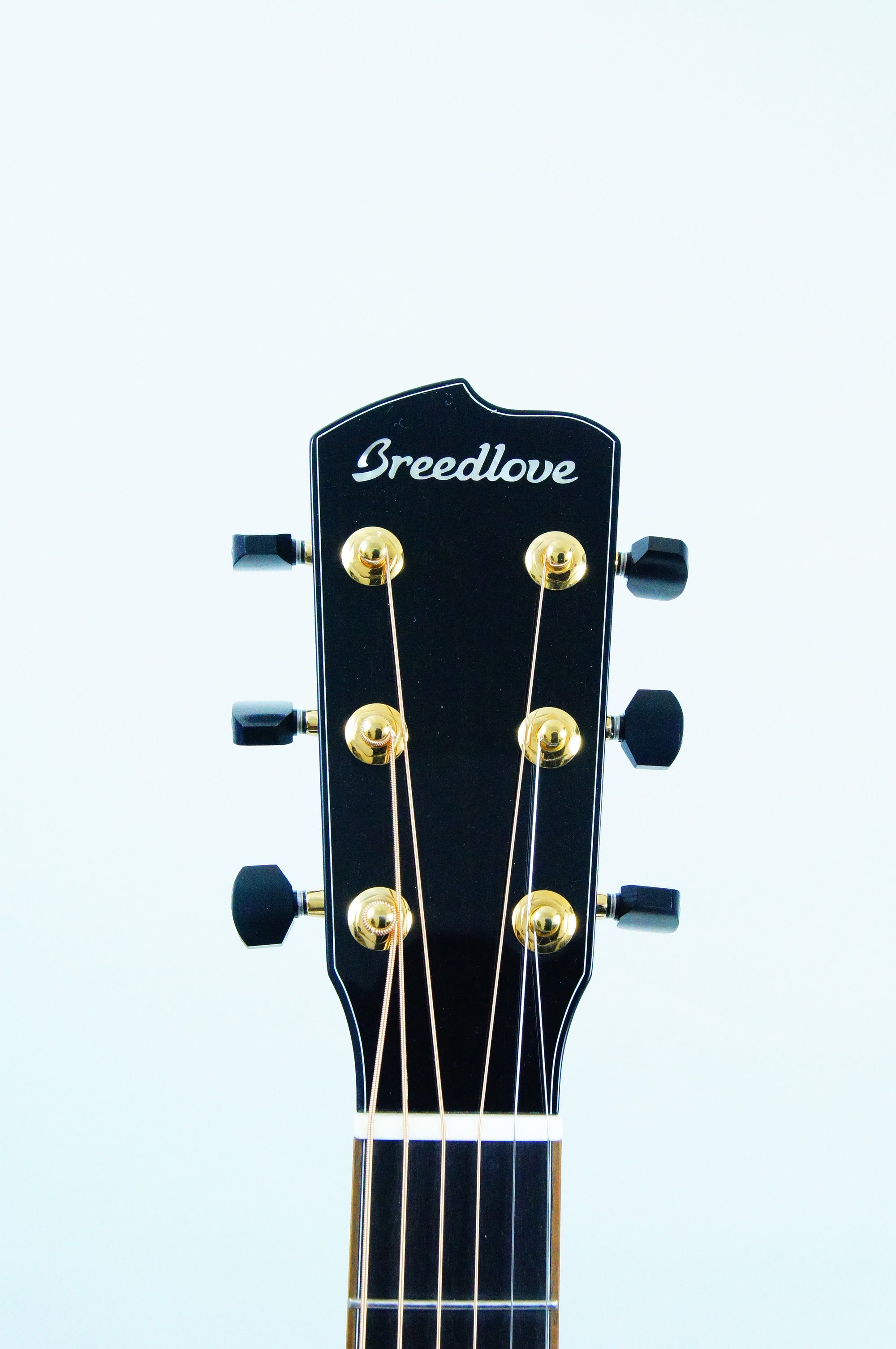 Breedlove Masterclass Brazilian Concerto w/Bearclaw Top