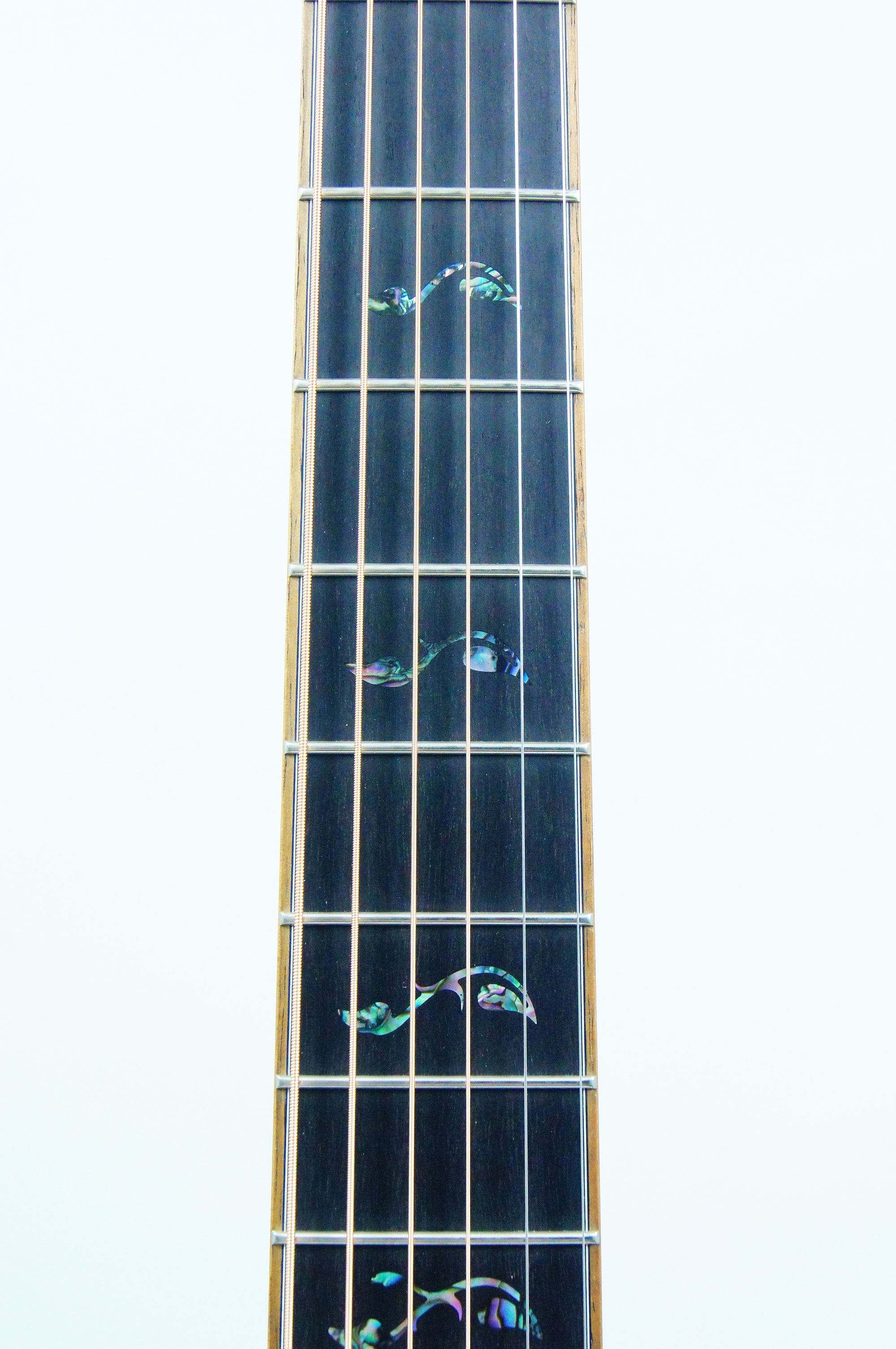 Breedlove Masterclass Brazilian Concerto w/Bearclaw Top