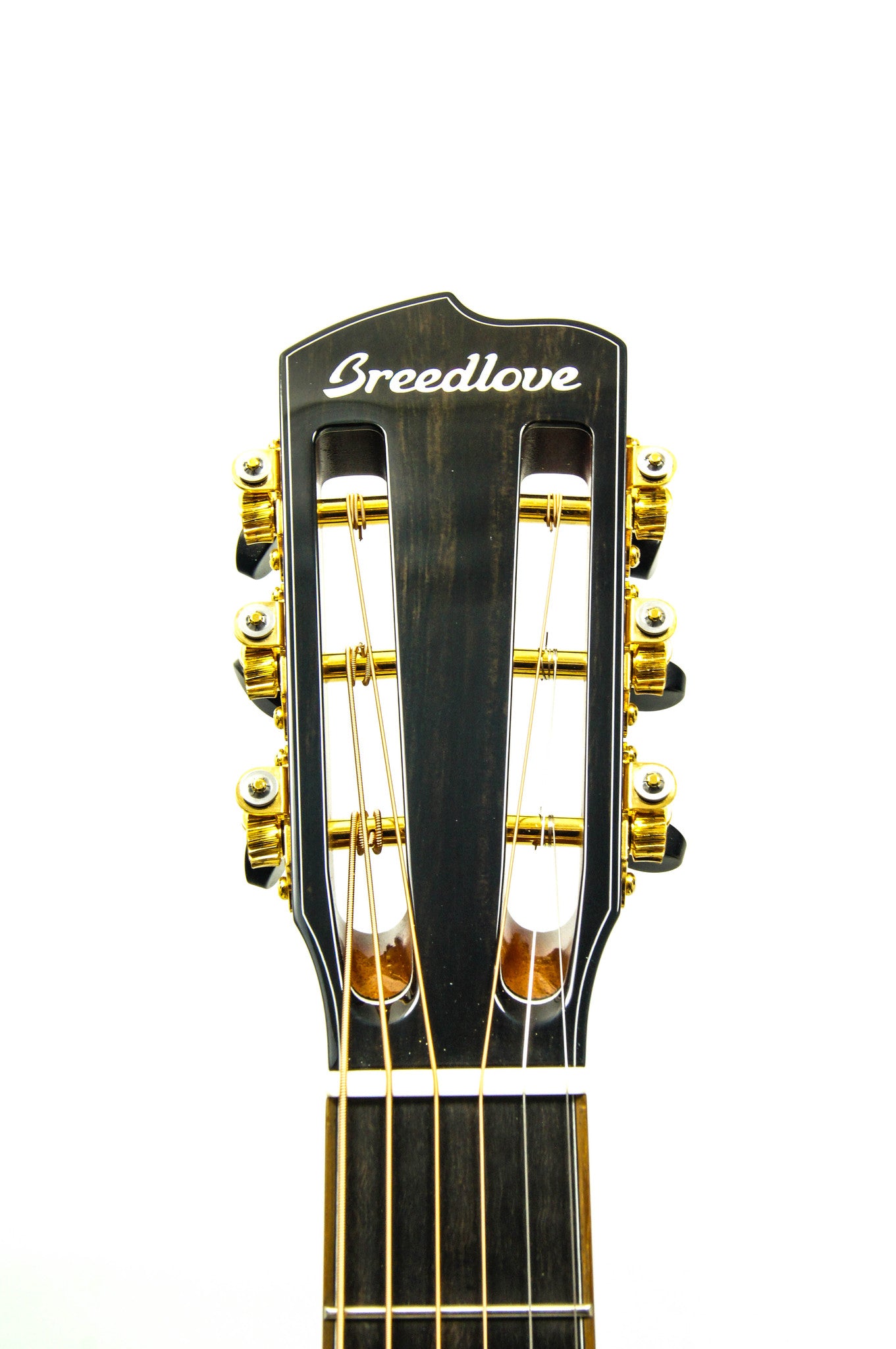 Breedlove Masterclass Parlor Exclusive Acoustic Electric Guitar