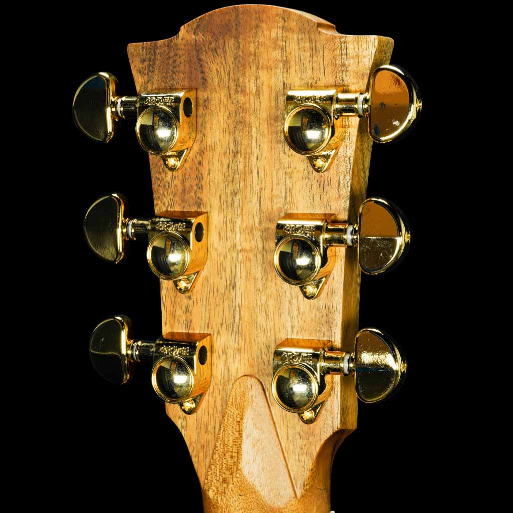 Cole Clark Fat Lady 2 Series EC Redwood and Blackwood Acoustic Electric Guitar