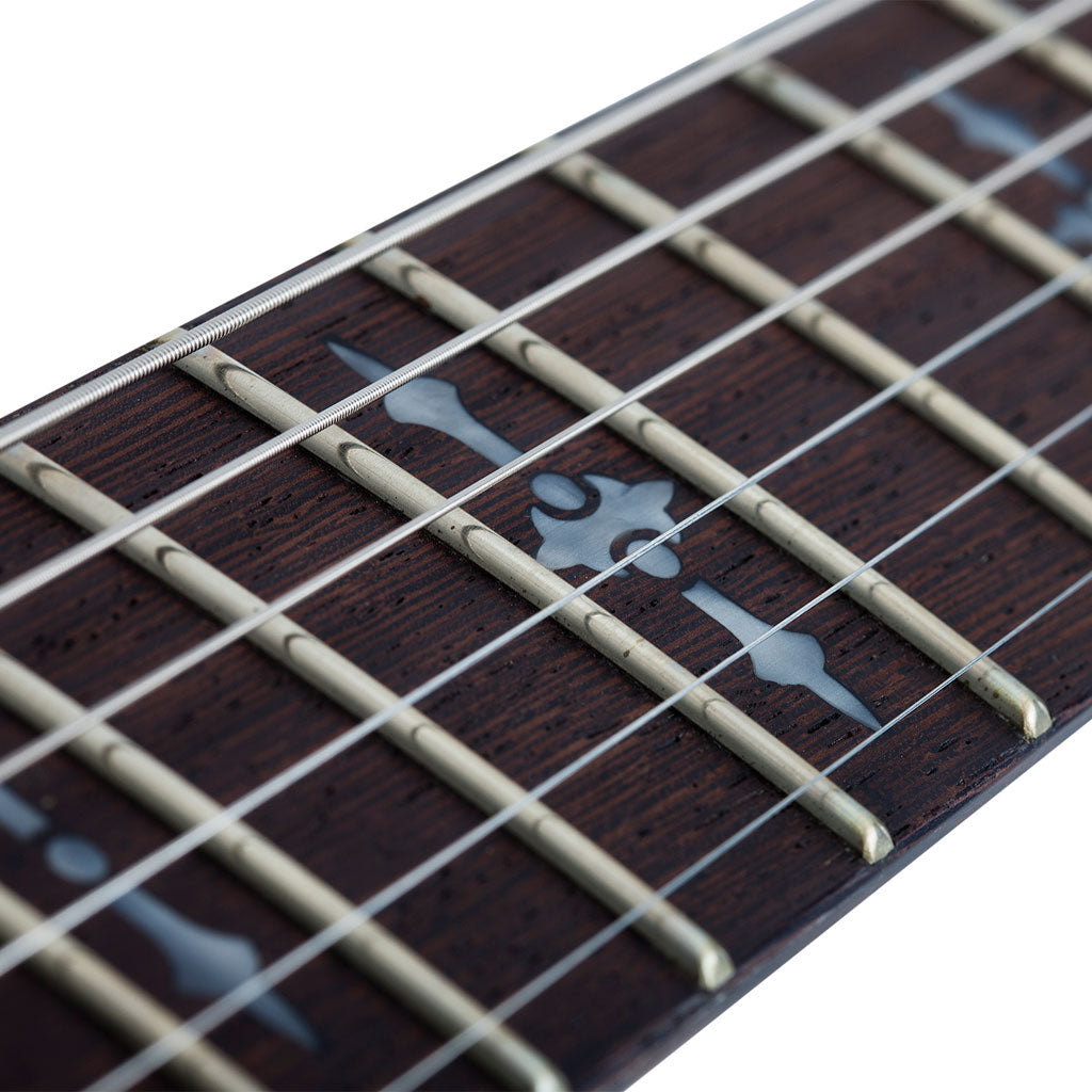 Schecter Demon S-II Series Electric Guitar in Aged Black Satin