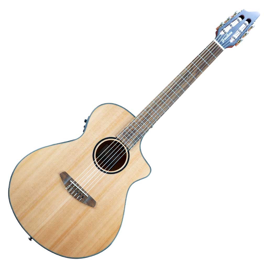 Breedlove discovery store concert nylon