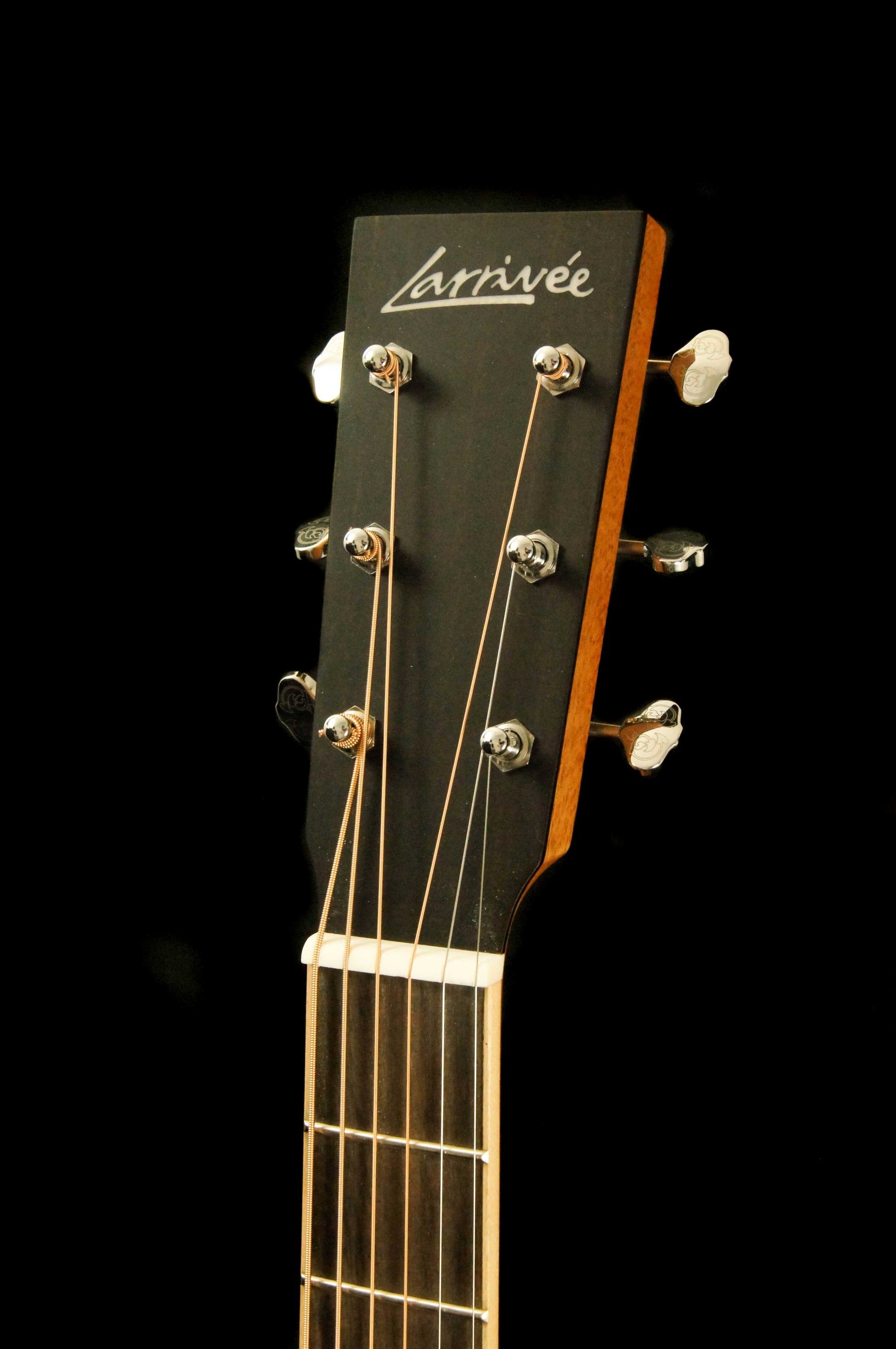 Larrivee DV-40 Legacy Series Acoustic Guitar
