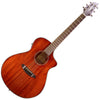 Breedlove Discovery Concert CE Limited Edition Acoustic Electric Guitar in Cosmo