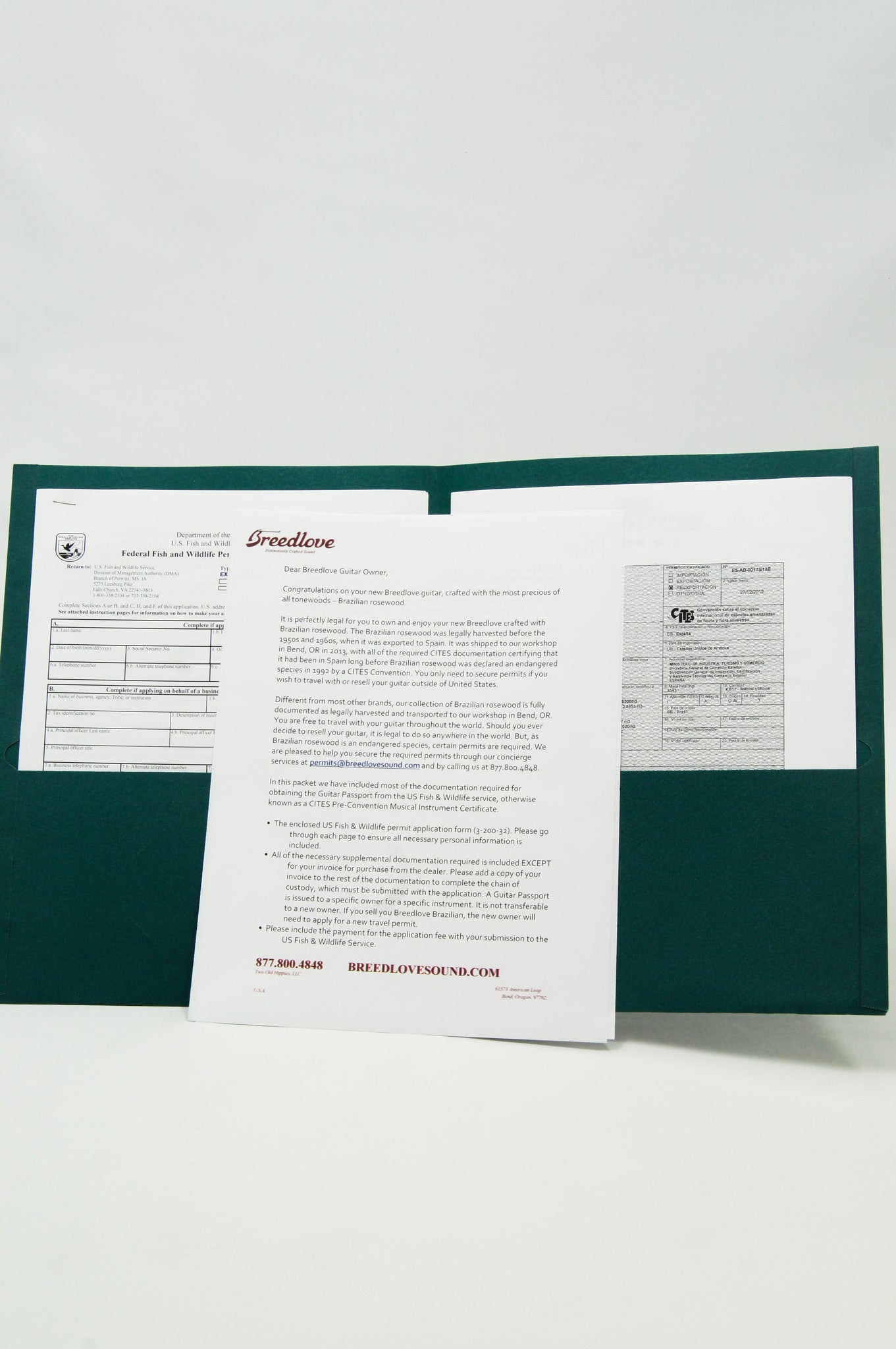 Breedlove Journey Concert Acoustic Electric Guitar