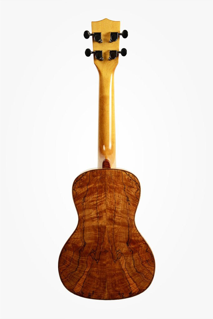 Kala KA-FMCG Solid Spruce Top Flame Maple Concert Ukulele