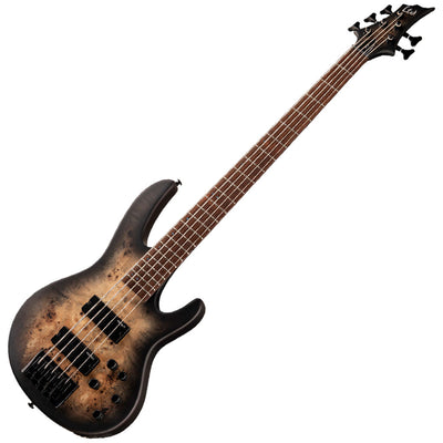ESP LTD D-5 Series 5-String Bass Guitar w/Burled Poplar Top in Satin Black Natural Burst