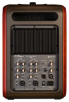 LR Baggs Synapse 2-Channel Personal PA System