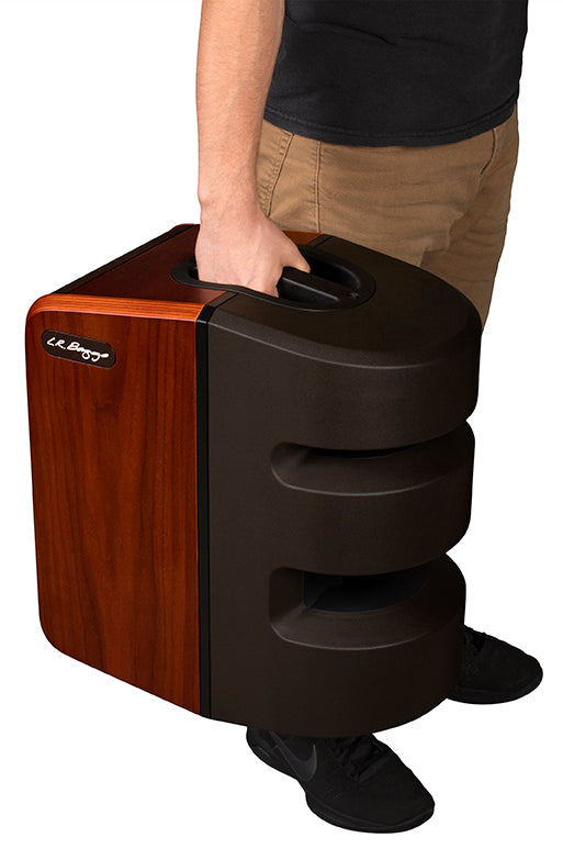 LR Baggs Synapse 2-Channel Personal PA System