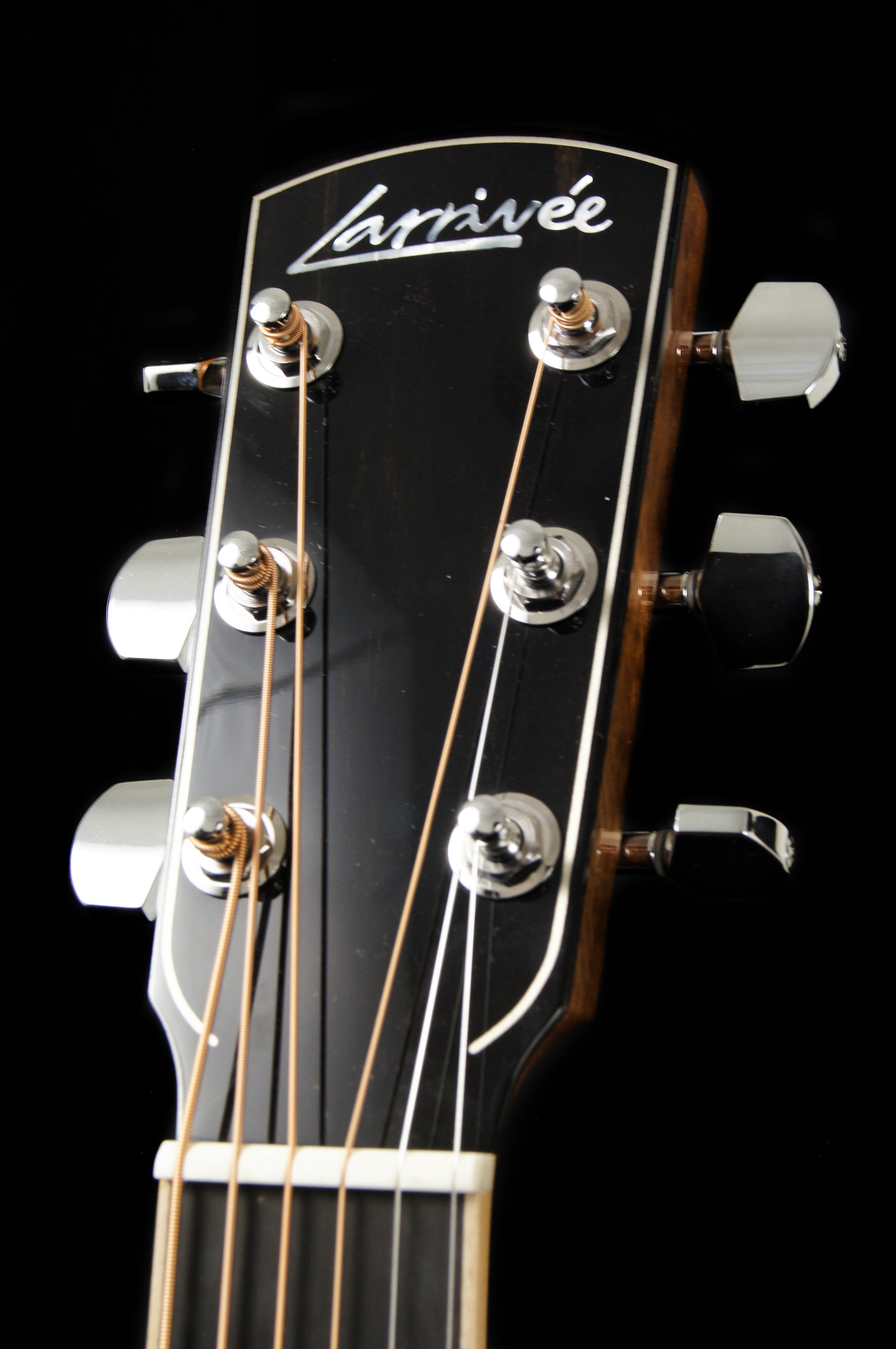 Larrivee D-10 Moon Spruce Top Rosewood Back and Sides Deluxe Series Acoustic Guitar