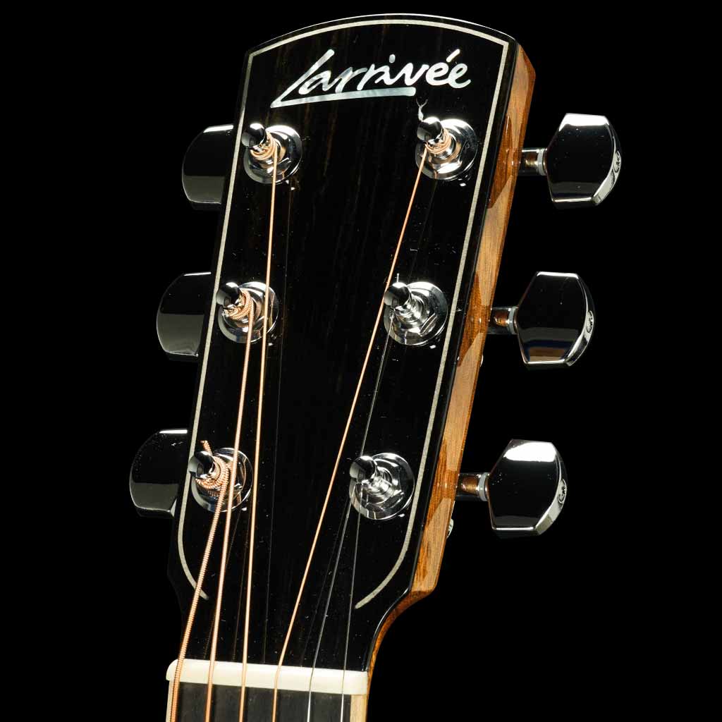 Larrivee LV-09 Rosewood Artist Series Acoustic Guitar