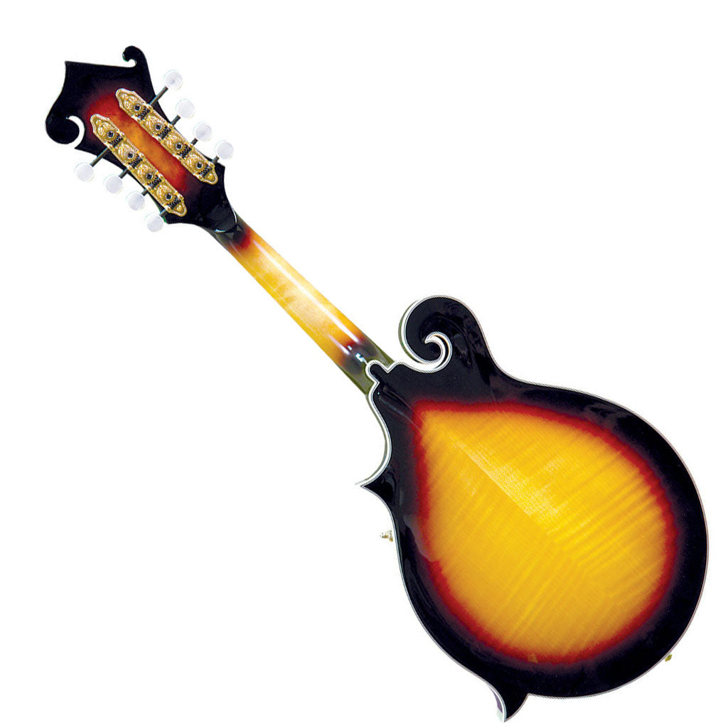 Gold Tone Mastertone GM-70+ F-Style Mandolin
