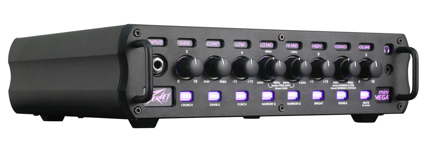 Peavey MiniMEGA Bass Guitar Amp Peavey Bass Guitar Amp Delivering
