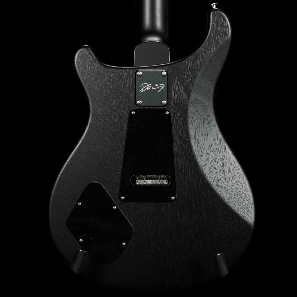 Paul Reed Smith DW CE 24 Floyd Dustie Waring Signature Electric Guitar in Waring Burst