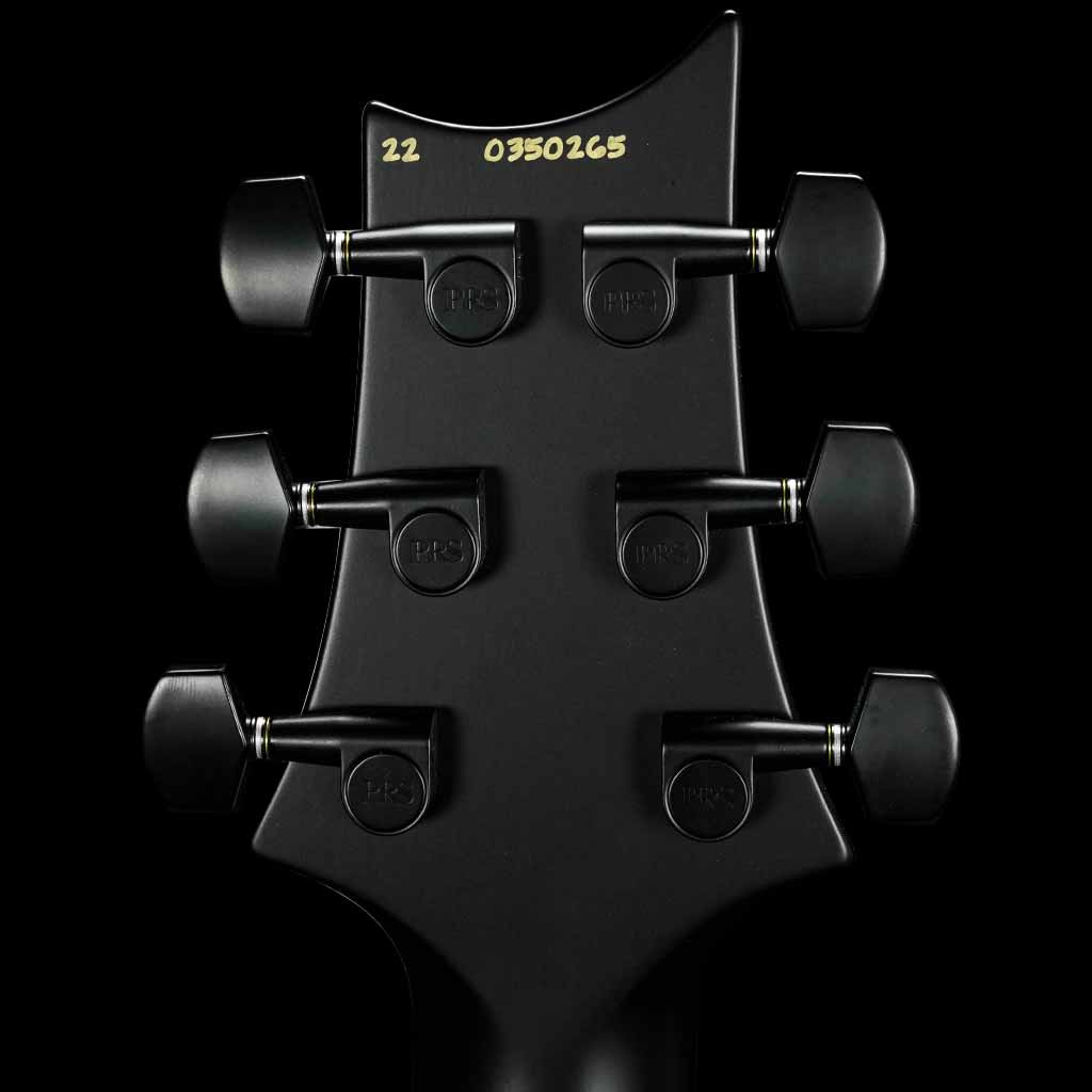 Paul Reed Smith DW CE 24 Floyd Dustie Waring Signature Electric Guitar in Waring Burst