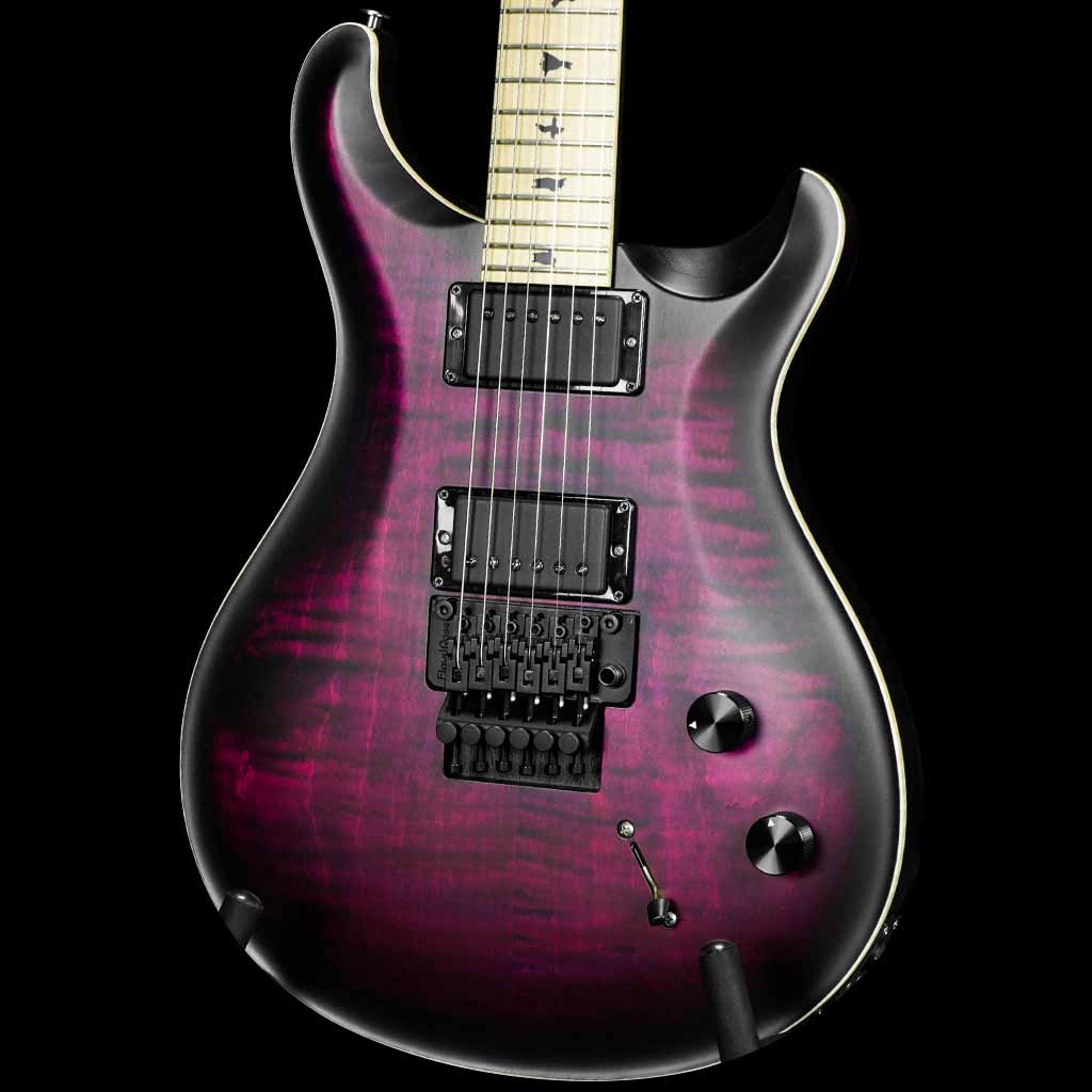 Paul Reed Smith DW CE 24 Floyd Dustie Waring Signature Electric Guitar in Waring Burst