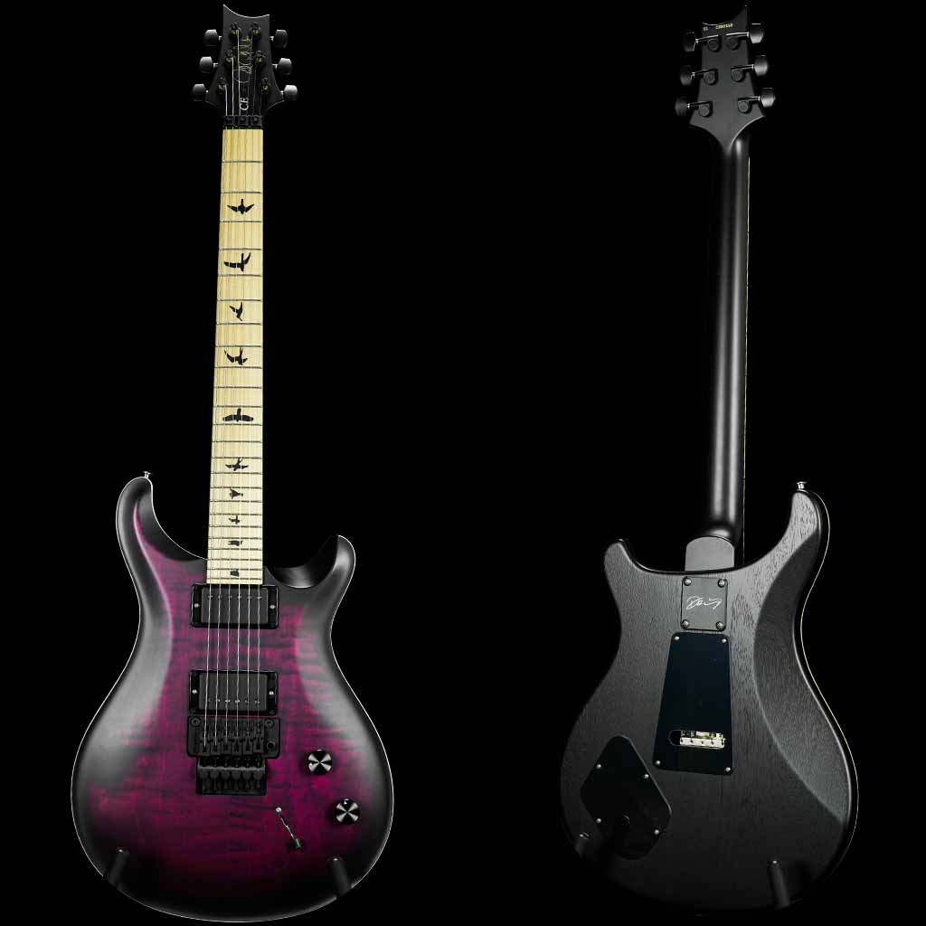 Paul Reed Smith DW CE 24 Floyd Dustie Waring Signature Electric Guitar in Waring Burst