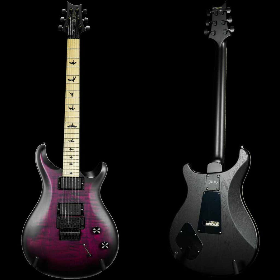 Paul Reed Smith DW CE 24 Floyd Dustie Waring Signature Electric Guitar in Waring Burst