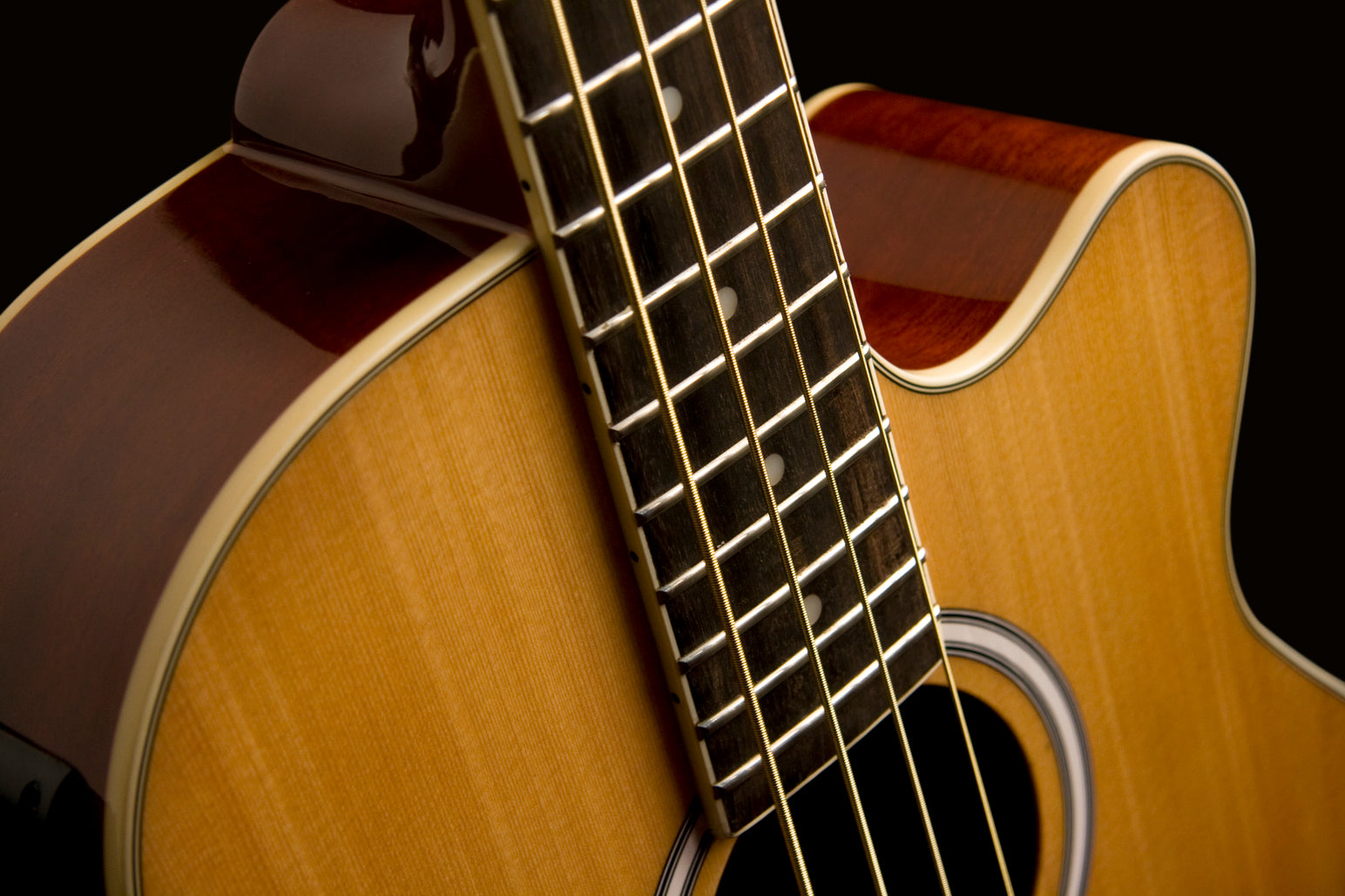 Washburn AB5 Acoustic-Electric Bass Guitar