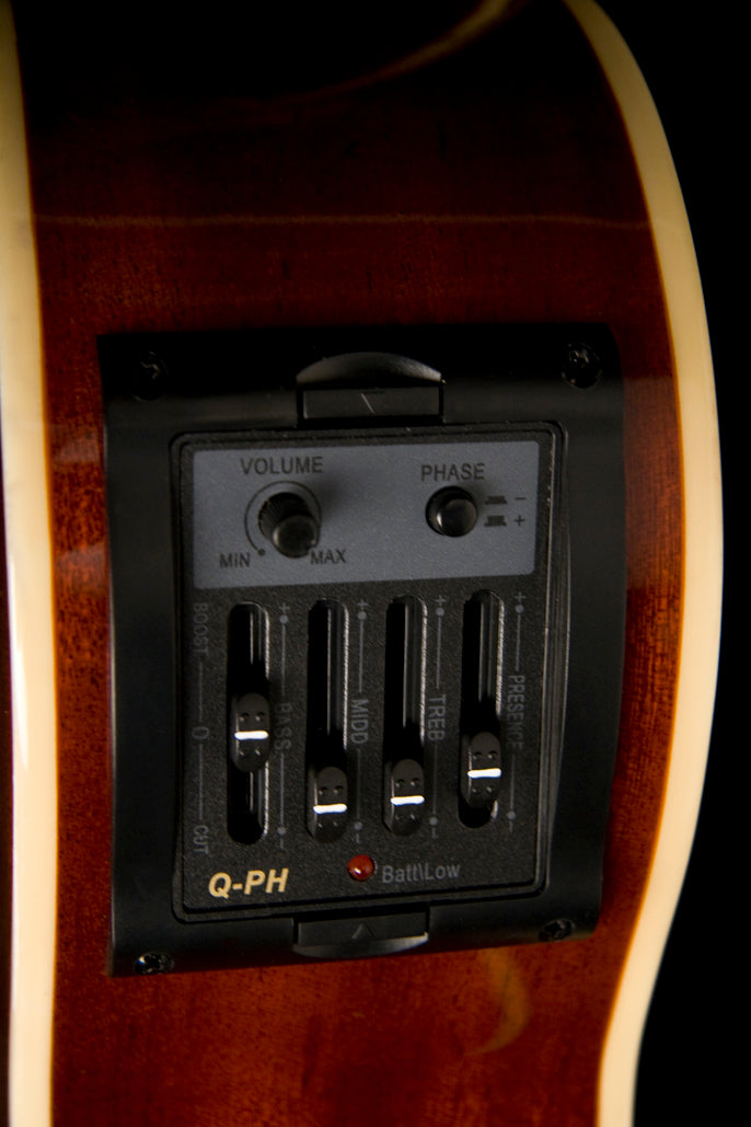 Washburn AB5 Acoustic-Electric Bass Guitar