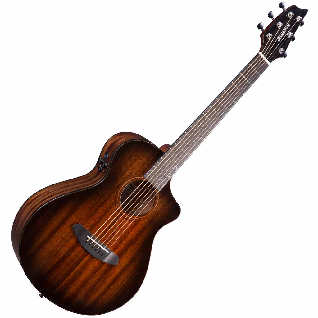 Breedlove Wildwood Pro Companion Suede CE Acoustic Guitar