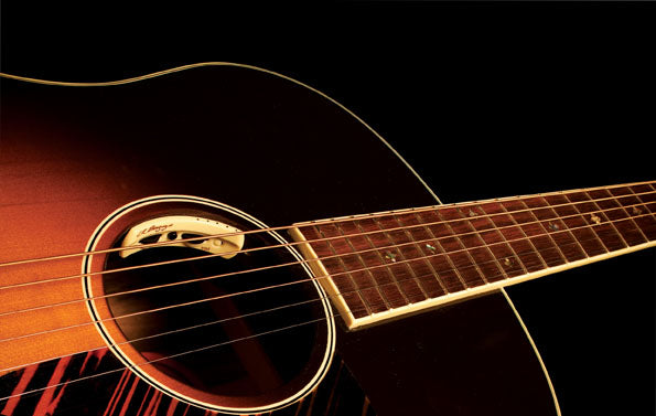 LR Baggs Anthem Soundhole Microphone/Undersaddle Acoustic Guitar Pickup