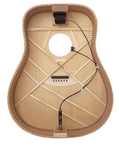LR Baggs iBeam Active Endpin Acoustic Guitar Pickup