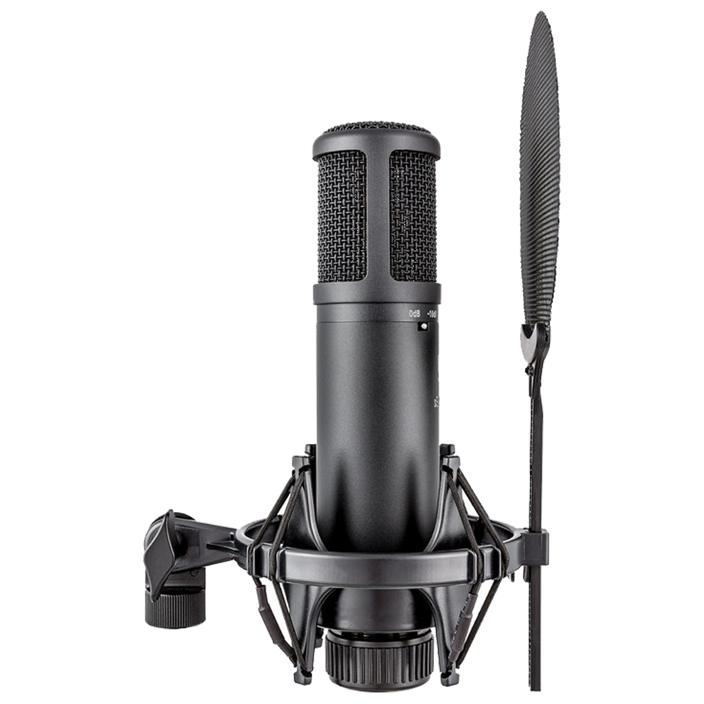 sE Electronics sE2200 Large Diaphragm Cardioid Microphone
