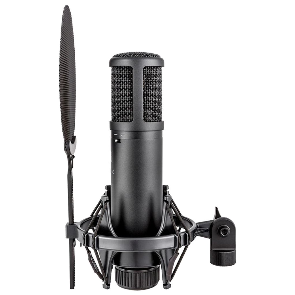 sE Electronics sE2200 Large Diaphragm Cardioid Microphone